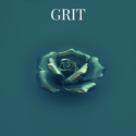 P3 Grit