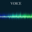 P3 voice
