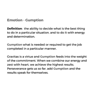 Emotion - Gumption