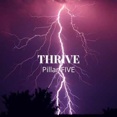 Pillar 5 Thrive