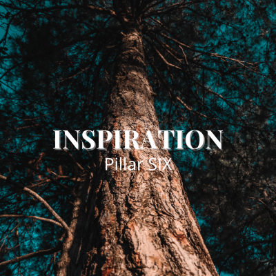 Pillar 6 Inspiration